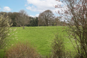 Moor View Close Wingerworth